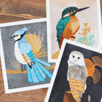 Bird art prints, spiritual art, shamanic art, bluejay art , owl art, kingfisher art