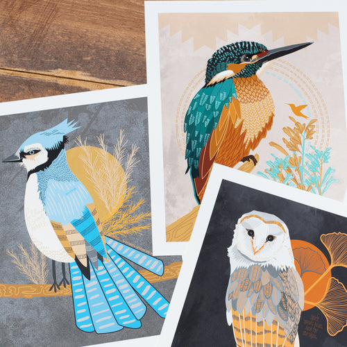 Bird art prints, blue jay art, owl art print, kingfisher print, shamanic art