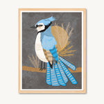 Bluejay art, blue jay illustration, bird art print, boho interior style