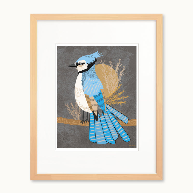 Bluejay illlustration, bird art print